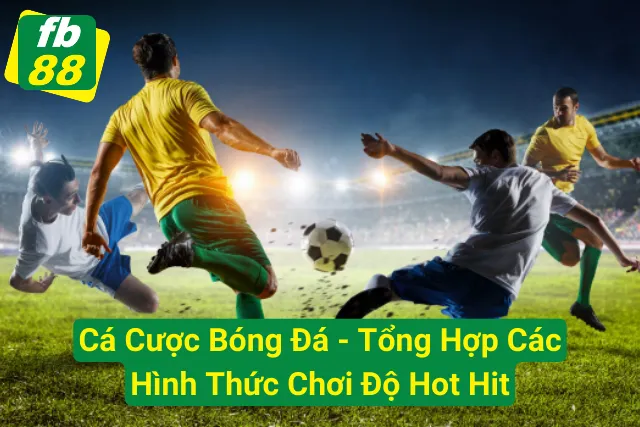 Cá Cược Bóng Đá