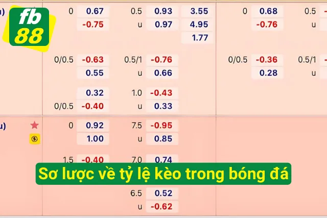 Vài nét về tỷ lệ kèo trong bóng đá