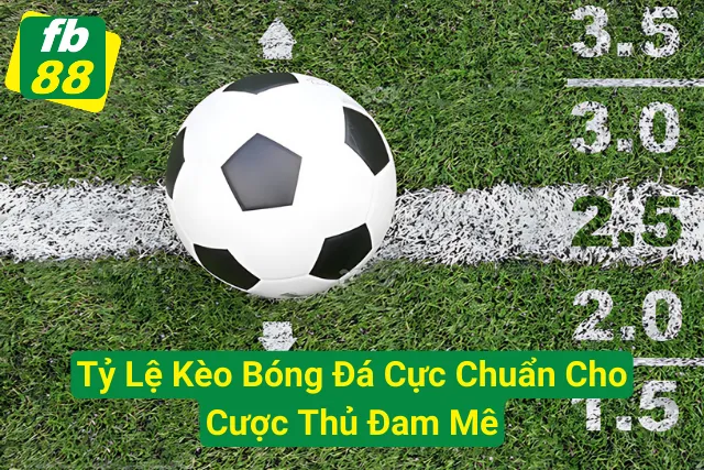 Tỷ Lệ Kèo Bóng Đá